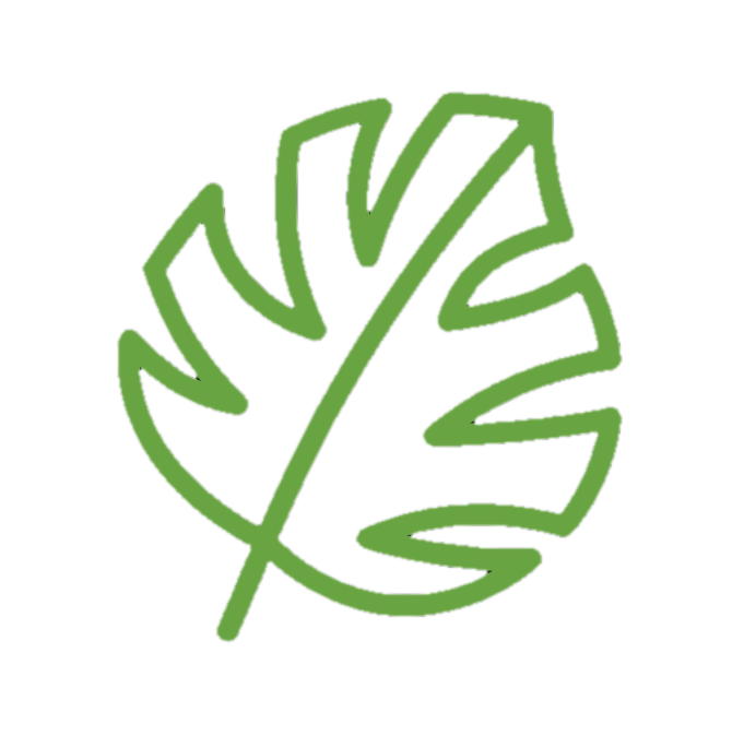 OpSight leaf logo